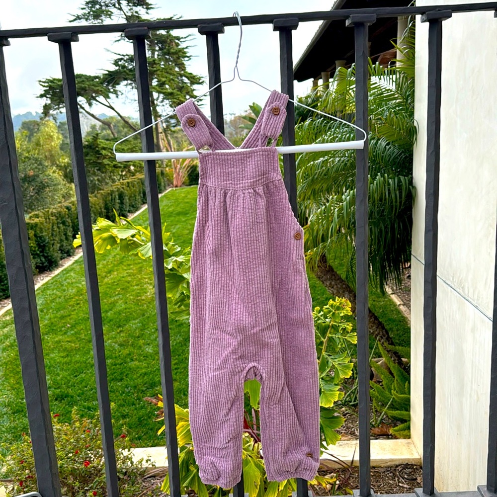 NWOT overalls